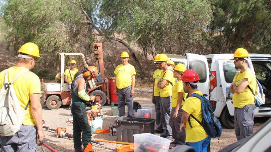 Los alumnos con discapacidad en el Curso de Repoblador Forestal.