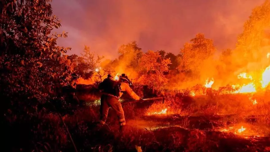 VÍDEO | Profesionales de INFOCA y la UME continúan la lucha contra el incendio de Niebla