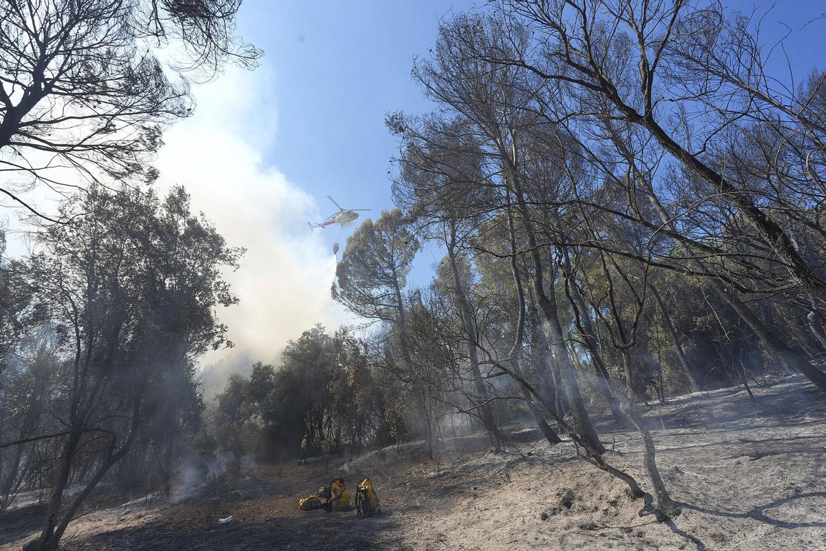 Les imatges de l'incendi de Vilavenut Les imatges de l'incendi de Vilavenut