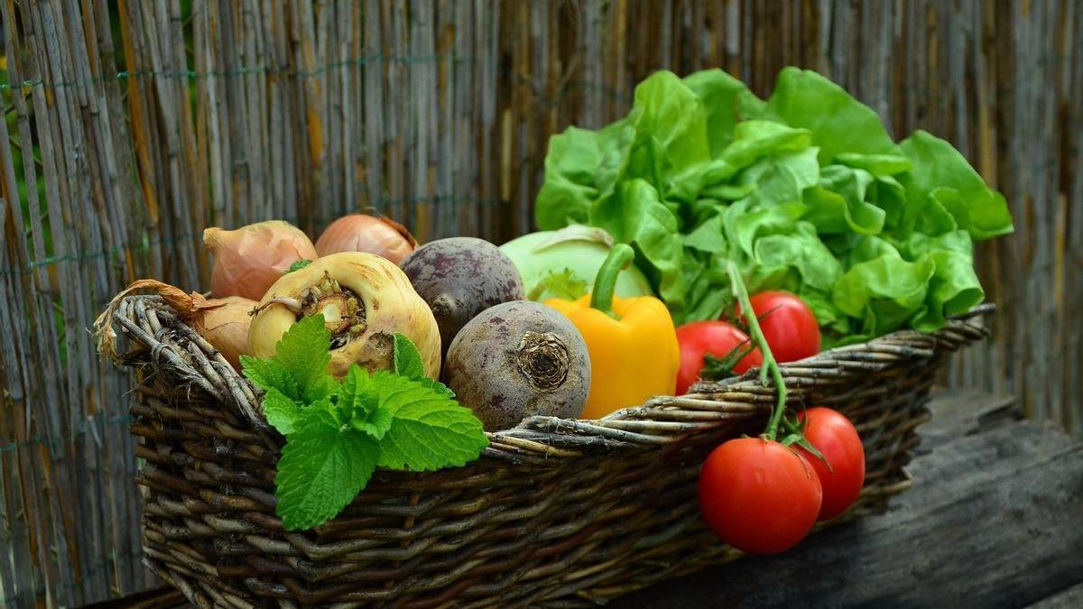 Las verduras son fundamentales en esta dieta para perder peso.