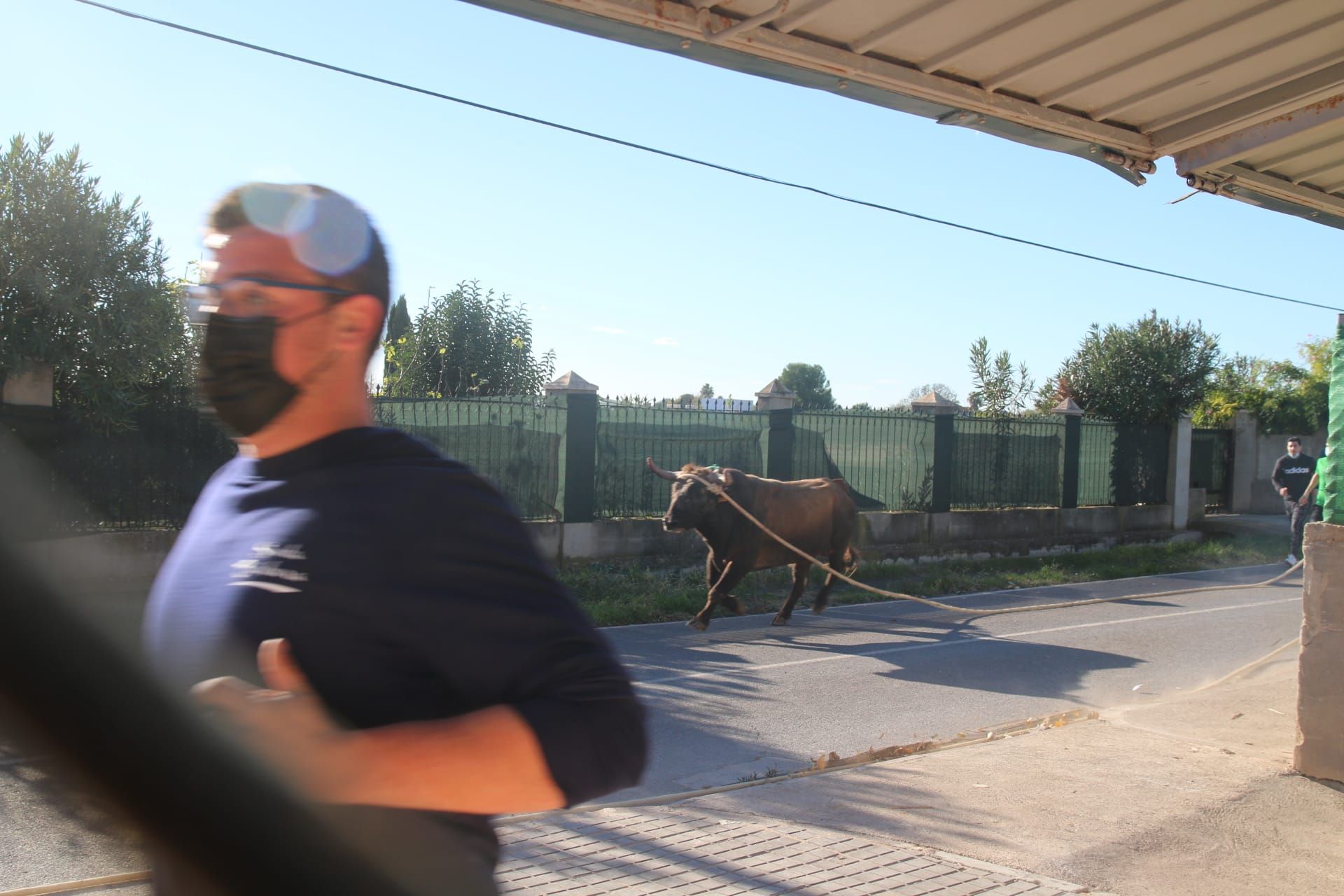 Los mejores detalles del primer 'bou en corda' de Santa Bárbara tras el covid