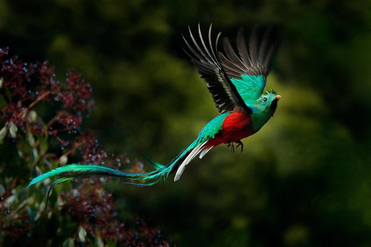 Bases legales del sorteo de Costa Rica 'La Ruta del Quetzal'