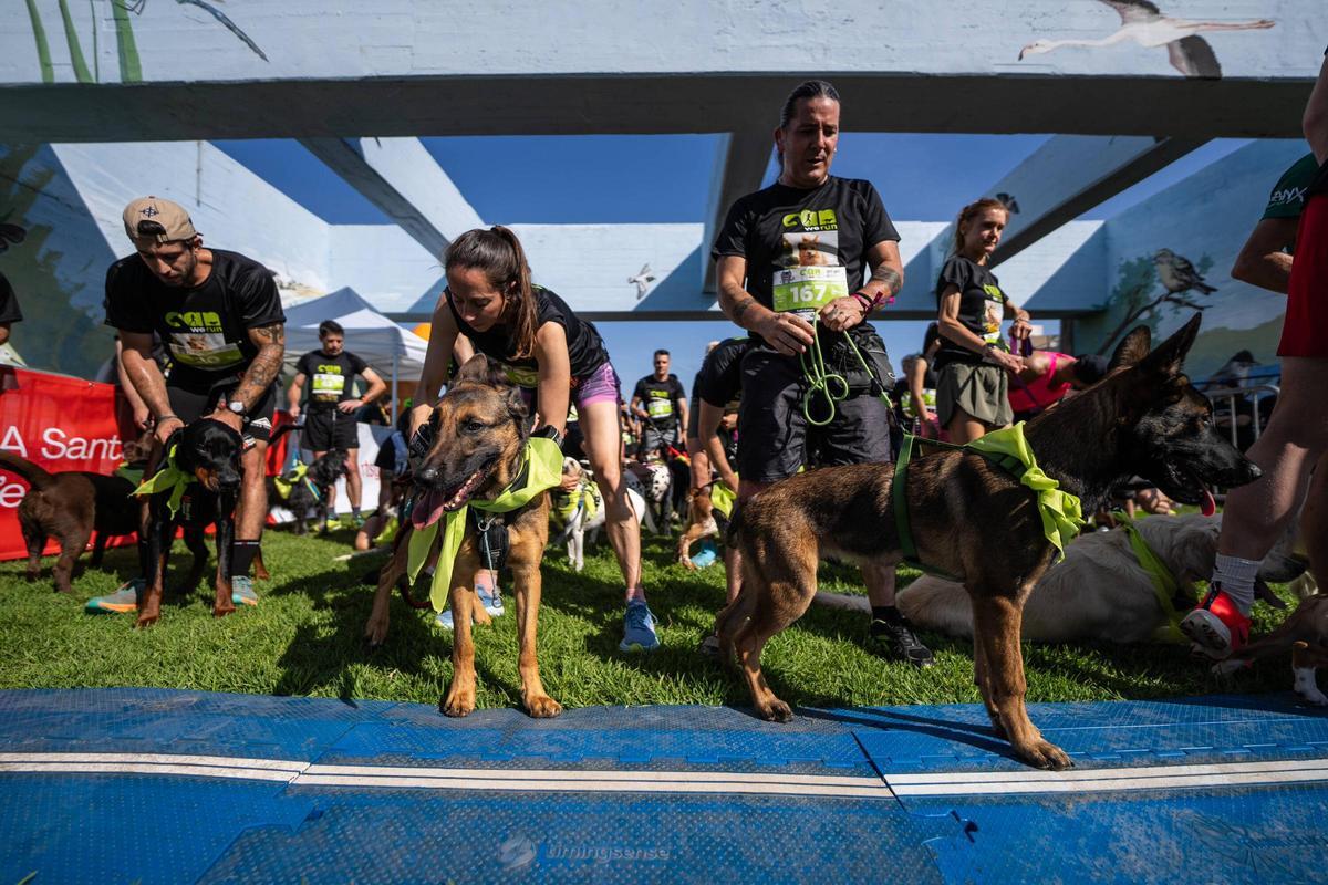 Carrera Can We Run organizada por Prensa Ibérica, El Periódico de Catalunya y SPORT , donde las personas y sus mascotas perrunas corren en familia.