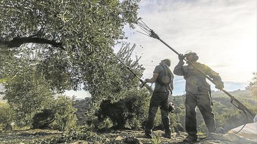 ¿Qué novedades hay en la PAC?