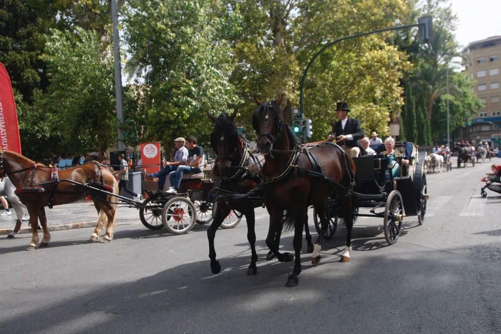 Día del caballo en la Feria de Murcia 2018