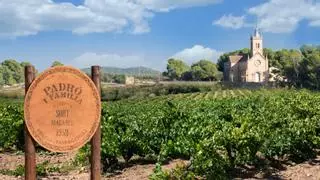24 horas descubriendo Reus y el Alto Campo: vermú, una recomendación Michelín y un paseo por Casa Navás