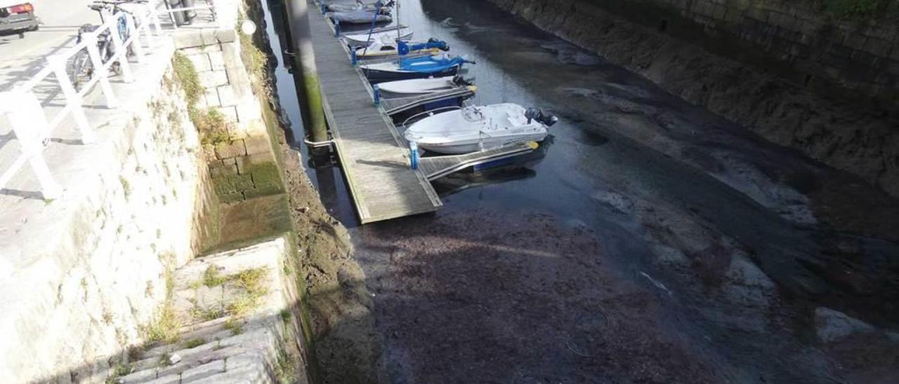 Las lanchas amarradas en la zona del muelle, con sedimentos y ocle a su alrededor.