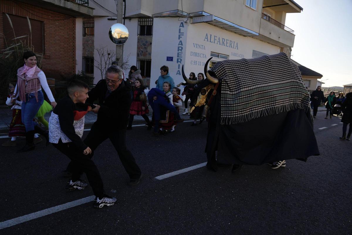 Pereruela rescata del olvido a su Vaca Antrueja por segunda vez Pereruela rescata del olvido a su Vaca Antrueja por segunda vez