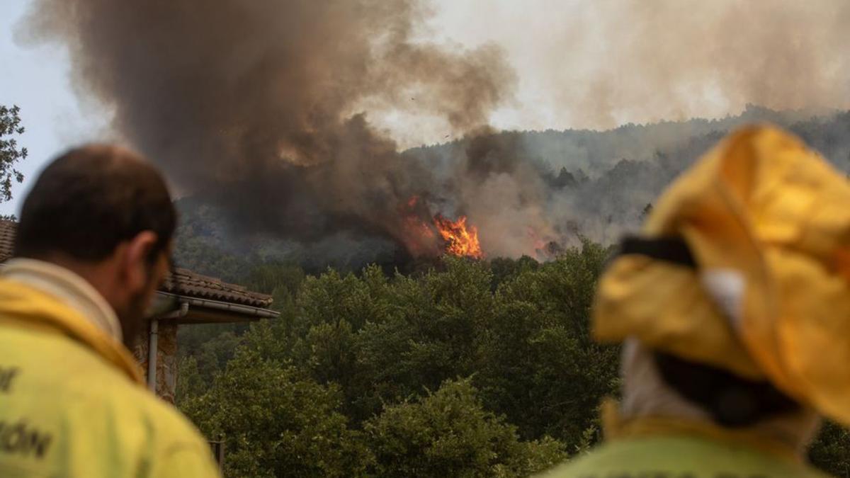 Más de 1.000 hectáreas de La Culebra sucumben a un segundo incendio un mes después