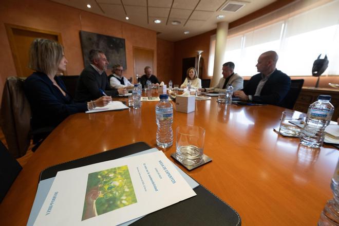 Mira aquí todas las imágenes Mesa de Expertos 'El reto es la sostenibilidad' celebrada en Diario de Ibiza, 26 marzo 2025