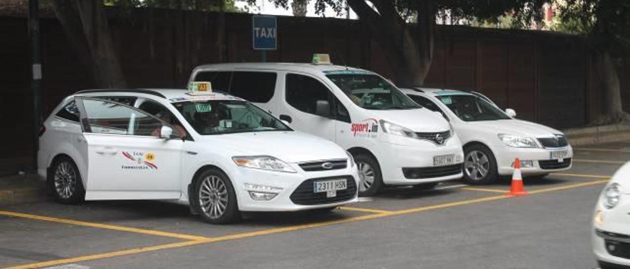 Pilar de la Horadada pide unificar el área de trabajo de los taxistas de 9 municipios
