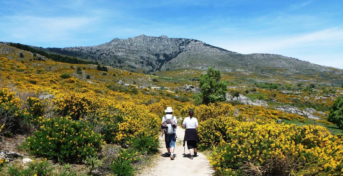 Ruta del Cambroño