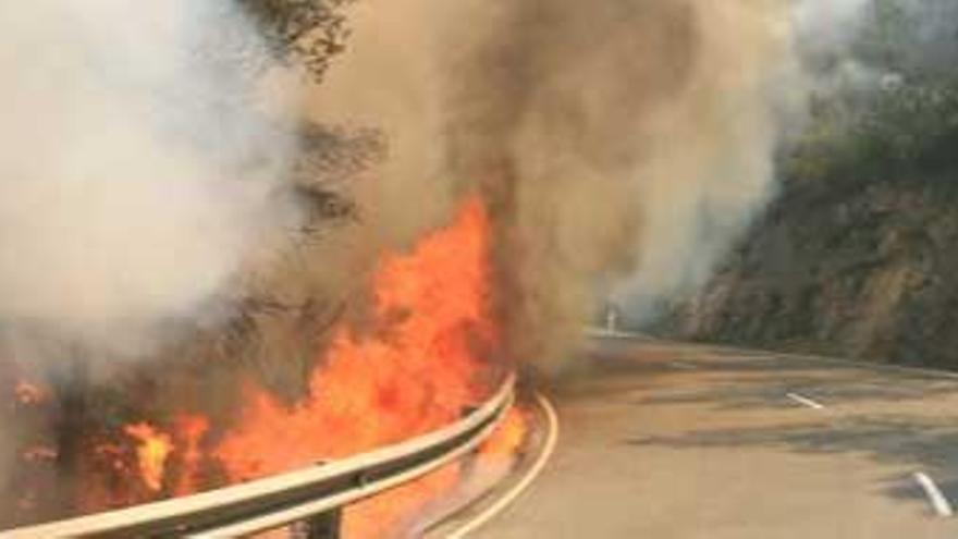 Un bombero trata de sofocar el fuego que invade la carretera.