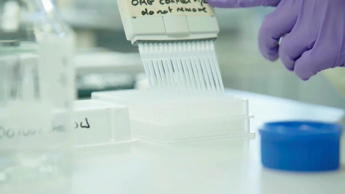 La vacuna de Oxford y AstraZeneca, en pausa por una afectación en la médula de un participante en los ensayos