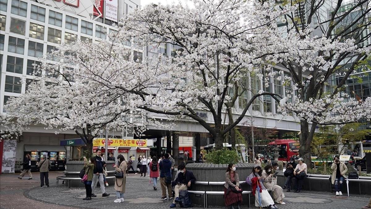 segea52953584 tokyo  japan   28 03 2020   people gather at shibuya distric200329090514