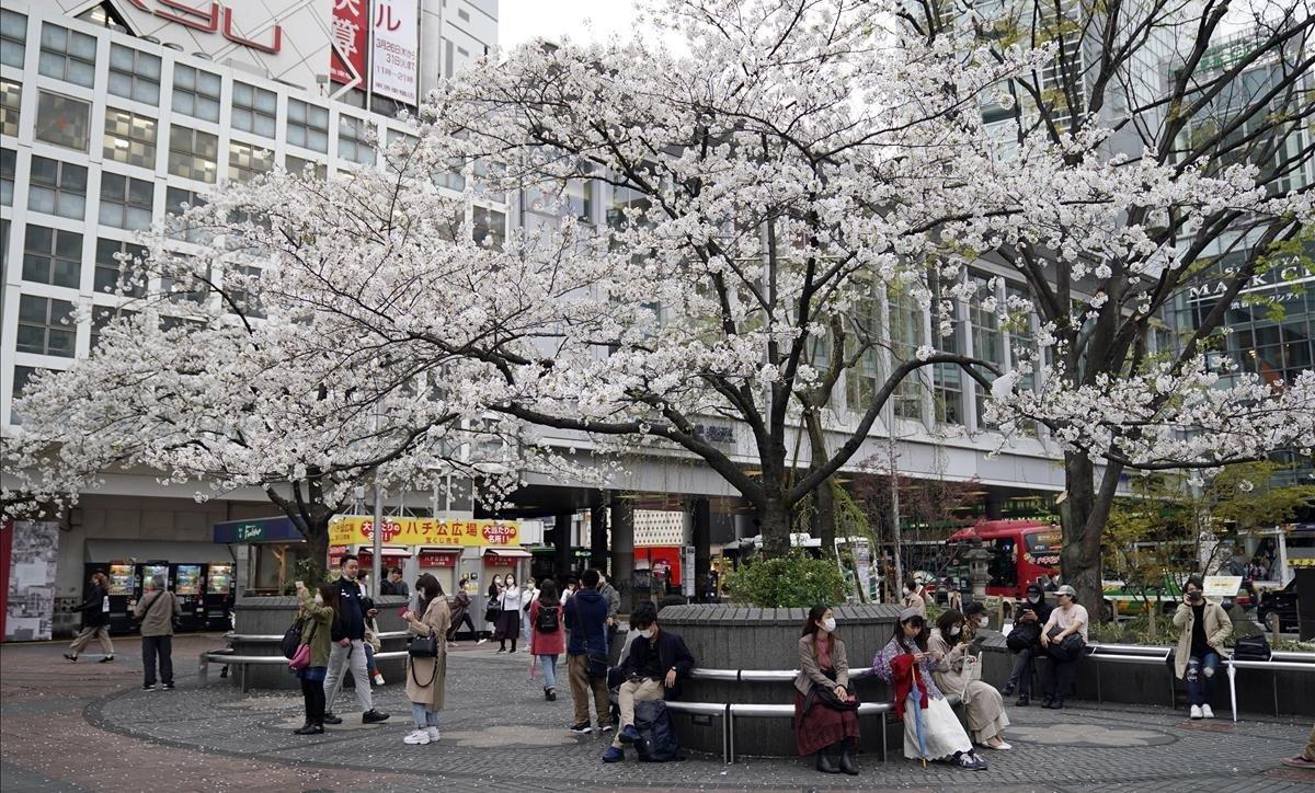 segea52953584 tokyo  japan   28 03 2020   people gather at shibuya distric200329090514