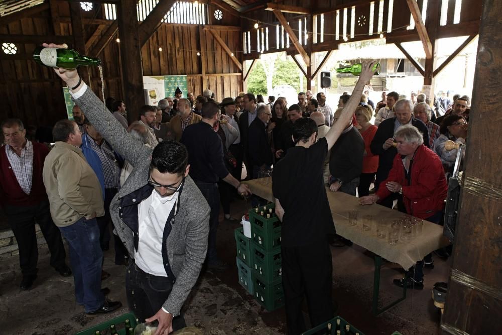 Presentación de la cosecha 2015 de sidra