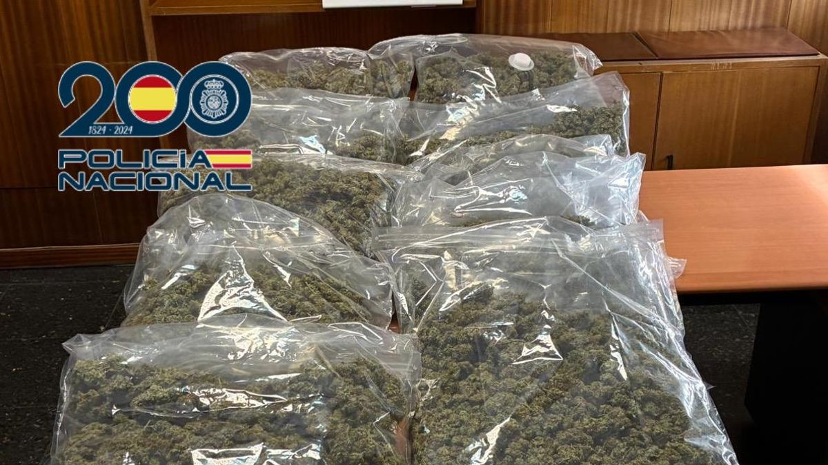 Dos detenidos con 10 kilos de marihuana al chocar con un autobús en persecución policial
