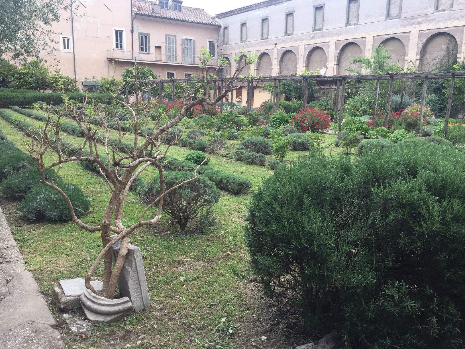 'Orto' botánico de Santa Cecilia.