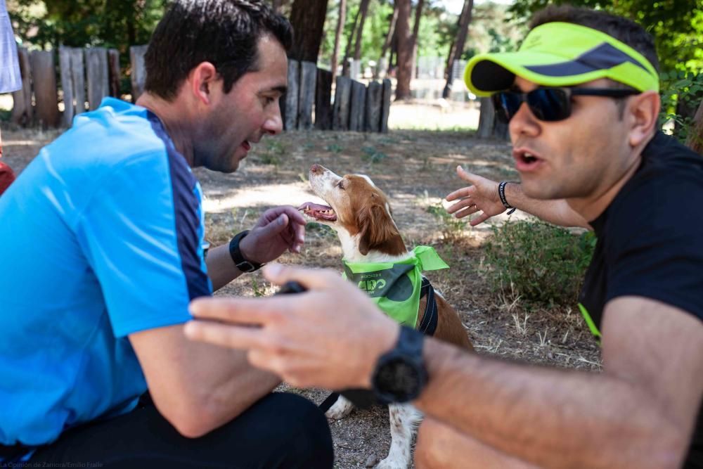 II Can We Run en Zamora