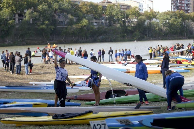 Campeonato de regatas en el Ebro