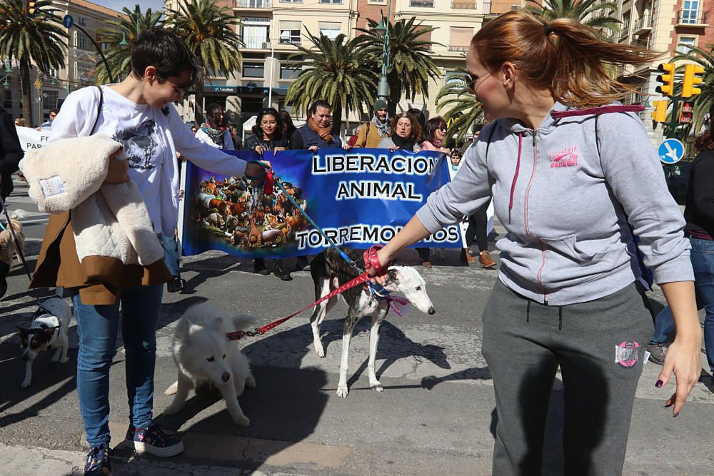 Decenas de malagueños acudieron ayer a la plaza de la Marina de la capital para protestar por los malos tratos que reciben los perros de caza.