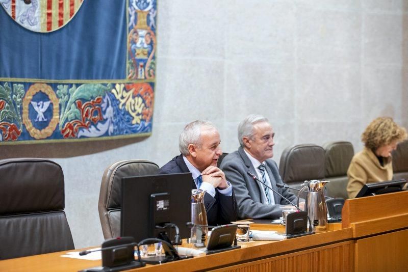 Pleno infantil en las Cortes