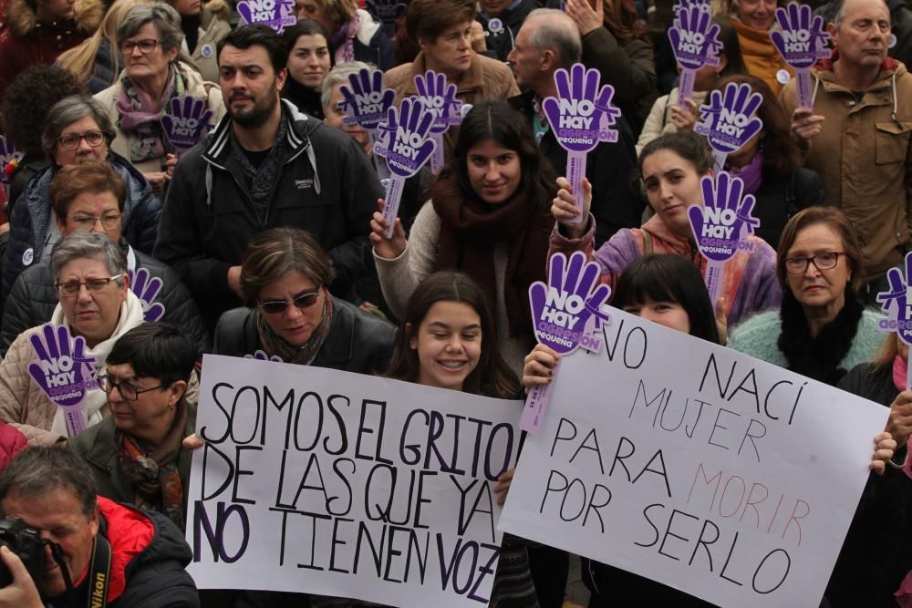 Dia Internacional de la violencia de género en Gij