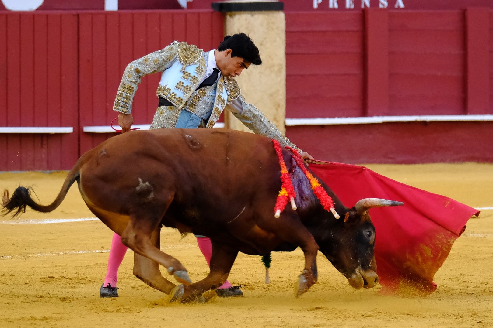 XVI Certamen Internacional de Escuelas Taurinas La Malagueta