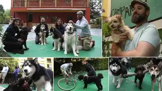 Los perros también van a la escuela: en La Casona de Almáciga, en La Corredoria, educan a los animales fortaleciendo el vínculo con sus dueños