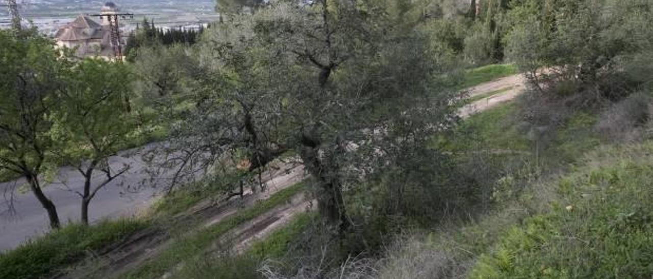 Un juzgado investiga si hubo delito en la enajenación de la parcela del castillo de Xàtiva