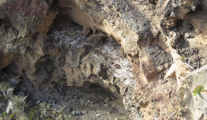 Restos óseos en una cueva de Guayadeque.