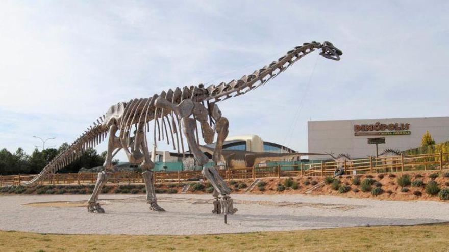 De Baturria a Aragosaurus: más de 300 fósiles tienen nombre aragonés De Baturria a Aragosaurus: más de 300 fósiles tienen nombre aragonés
