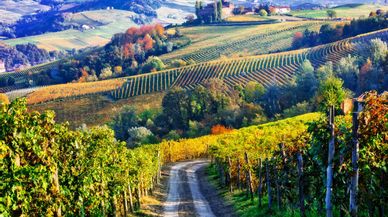 Italia en otoño: road trip por los secretos de la Toscana