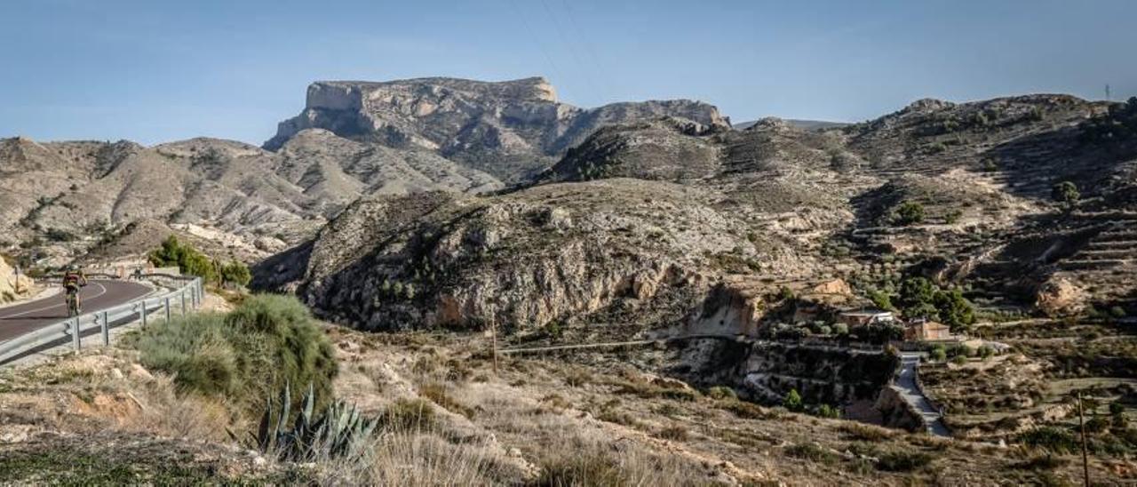 Un tesoro verde «ninguneado»