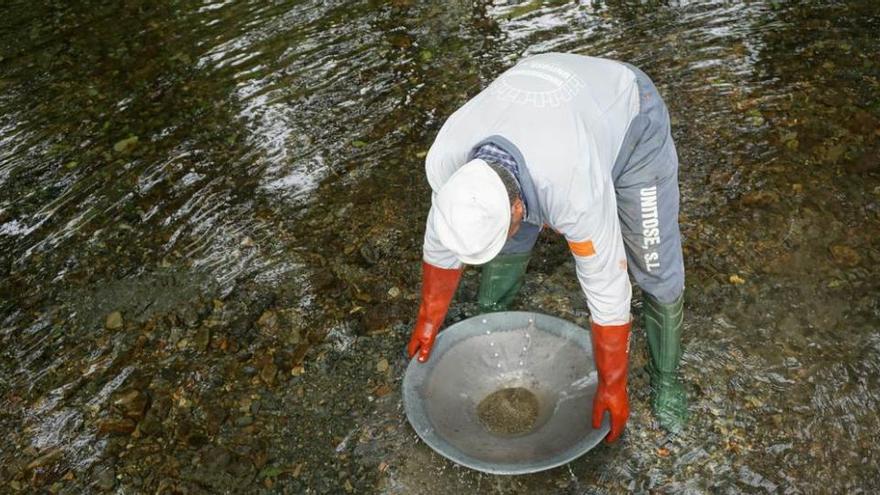 Un investigador del CSIC realiza un bateo en el río Ibias, en la zona de Veiga Redonda.