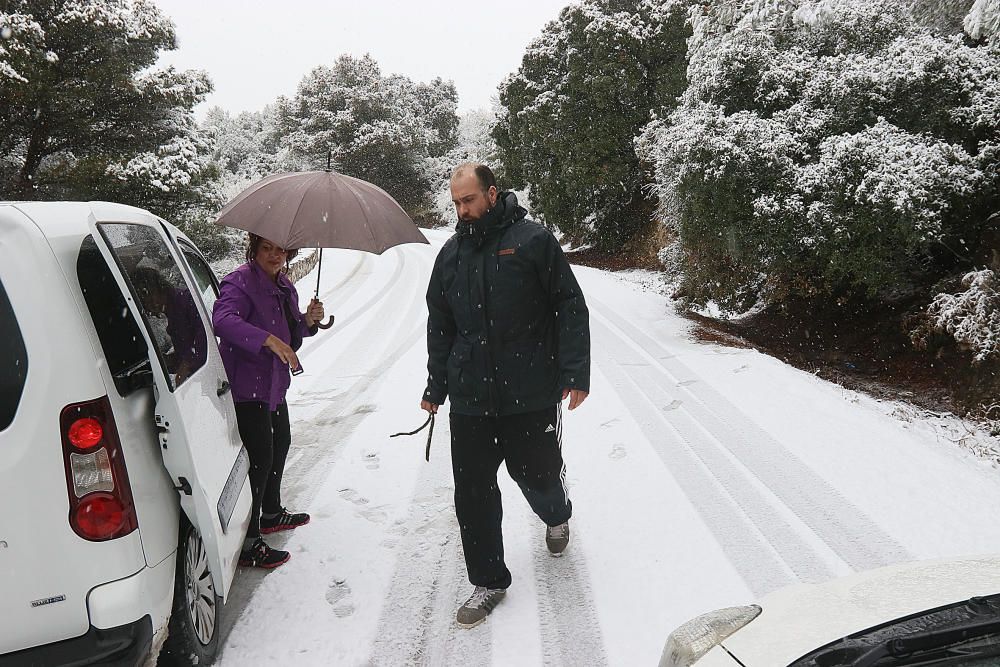 Las primeras nevadas llegan al Puerto del León, en los Montes de Málaga, que se sitúa a 900 metros de altura