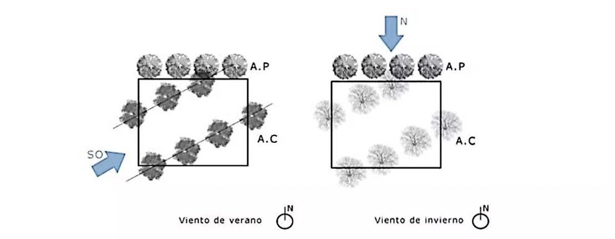 Estrategias de colocación de los arboles caducos en líneas de viento para configurar corredores de viento. Ester Higueras y Alicia Gómez, Author provided