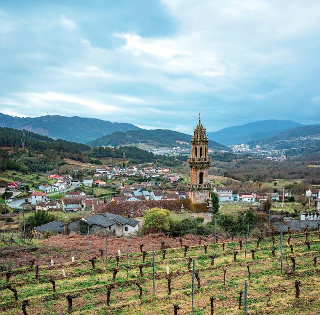 Viñedos en Santo André de Caporredondo