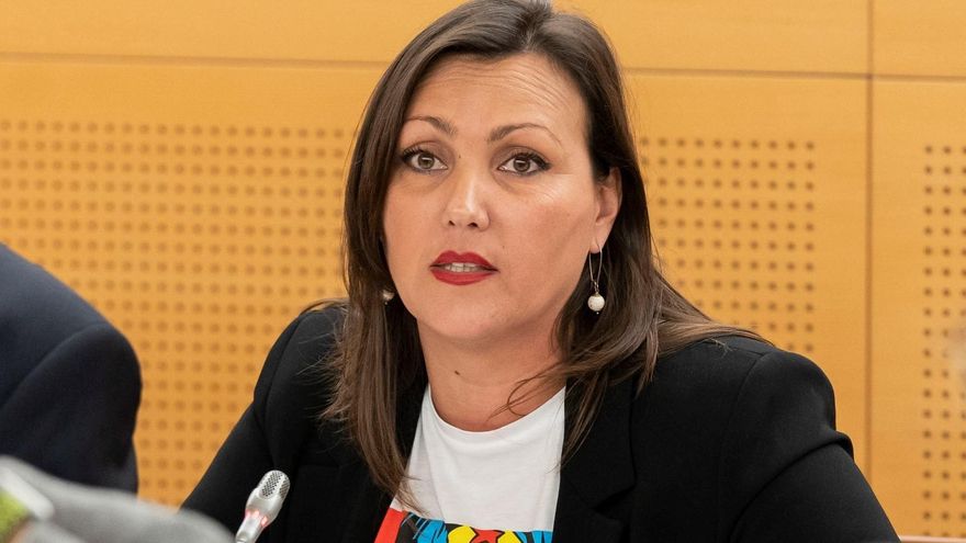 CC accuses the Cabildo de Tenerife of not executing “even half” of the planned investments in Tourism
