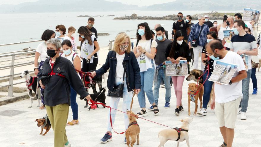 Las playas para perros no frenan los conflictos con los bañistas