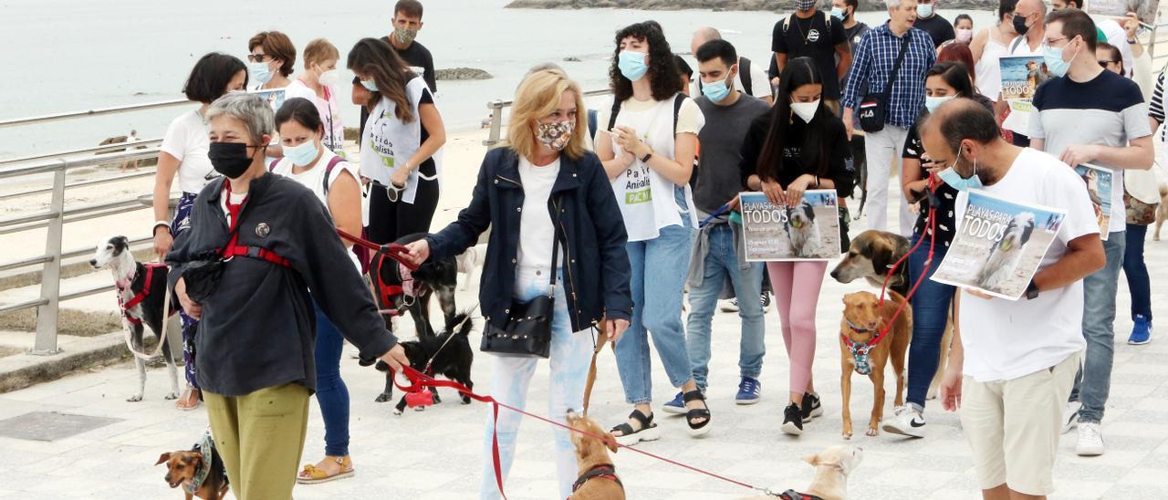 Paseo reivindicativo para el esparcimiento de los perros en la playa de Samil.