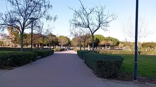 Tres detenidos por robar móviles por el método del tirón por el Parque Litoral de Málaga