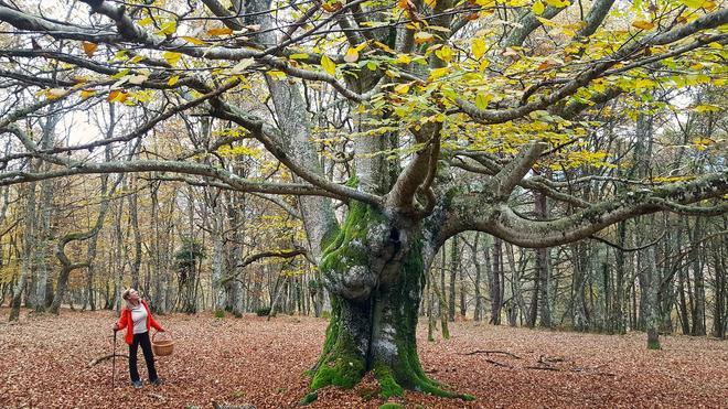 Rutas para Senderistas, Monte Gorbea