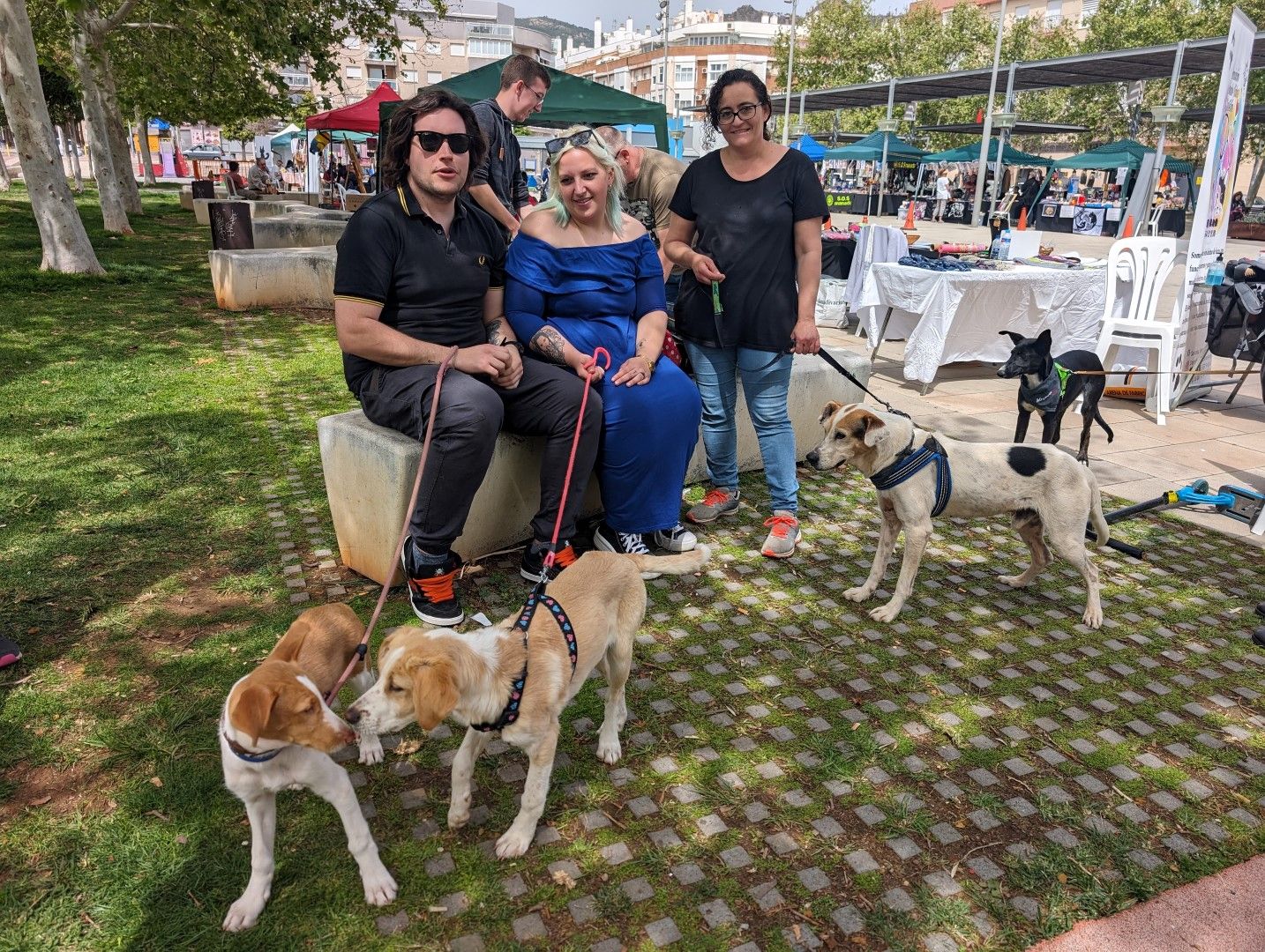 Las mejores imágenes de el Festival de la Adopción en Benicàssim