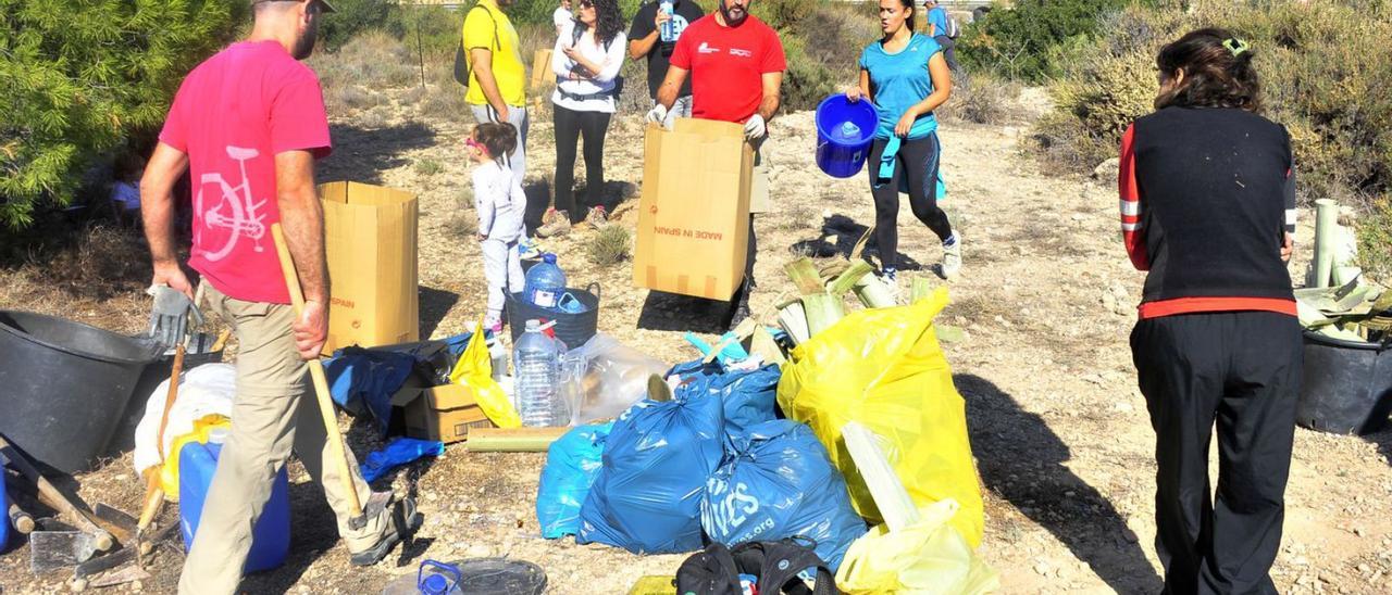 Los voluntarios que participaron en la limpieza y reforestación junto a la A-7.