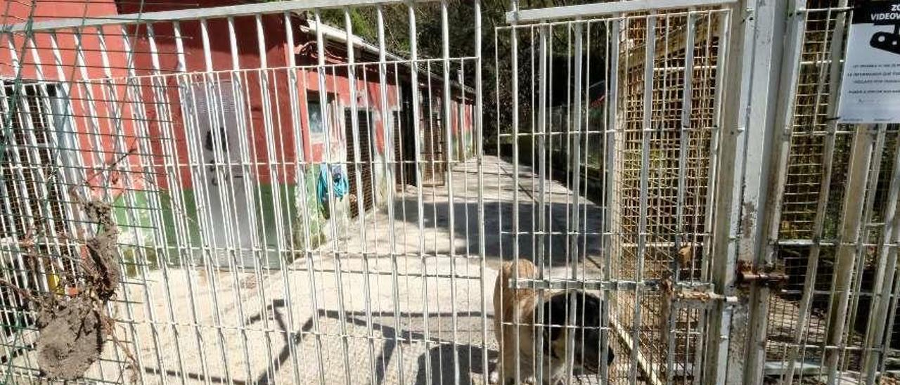 Las instalaciones de la perrera de Mieres.