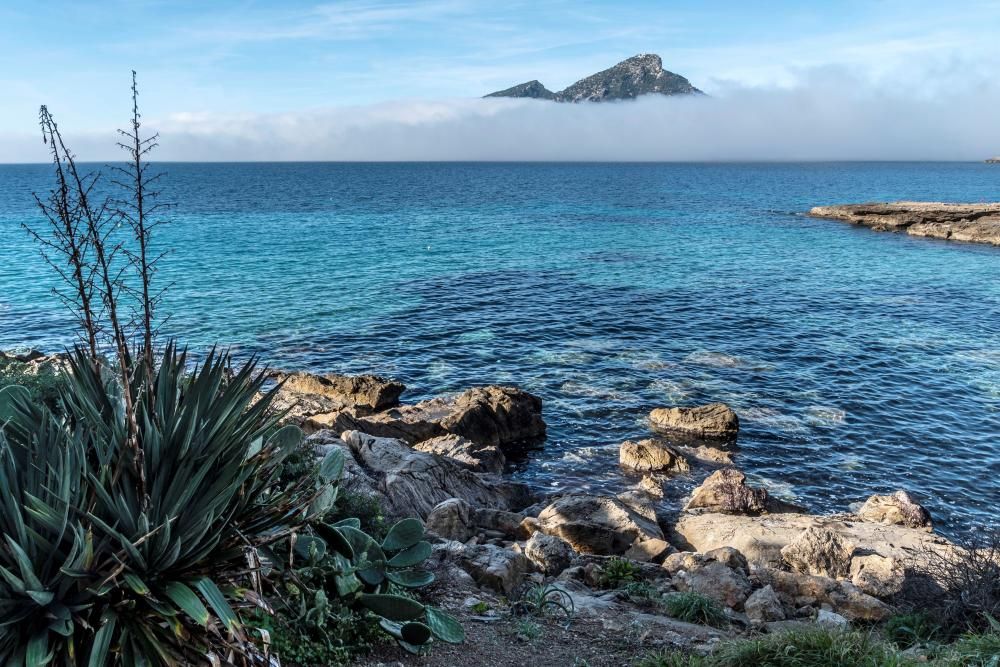 La niebla cubre Mallorca y no se irá hasta mañana