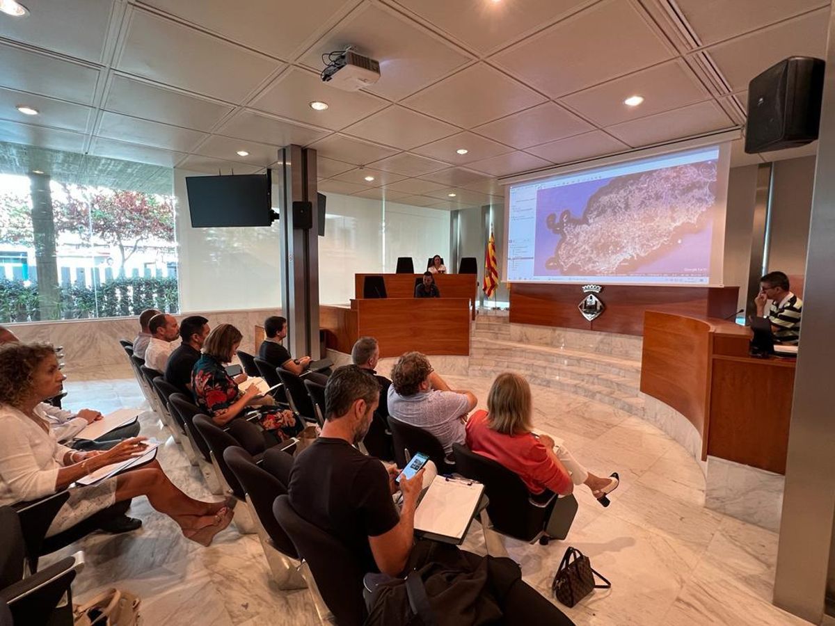 La comisión de Movilidad se ha reunido en la sede del Consell de Ibiza