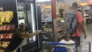 Un perro lleva el carrito de la compra en el súper